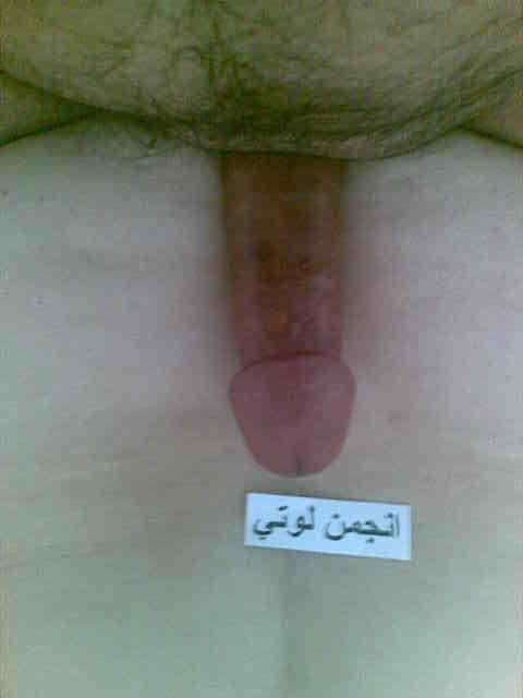 عکس های سکسی از کاربران انجمن (فقط دختران)