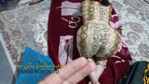 عکس سکسی ایرانی 24f6deda