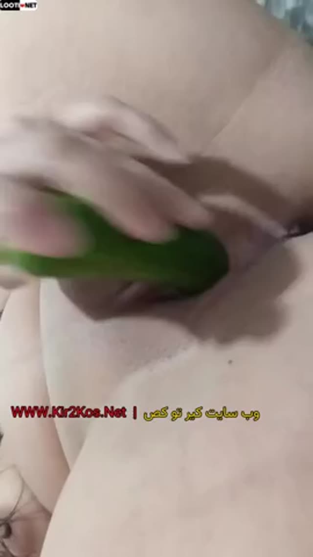 جنده متاهل میگه بیا بکن تو کونم خیارو بعد از کصش میکنه تو کونش.mp4