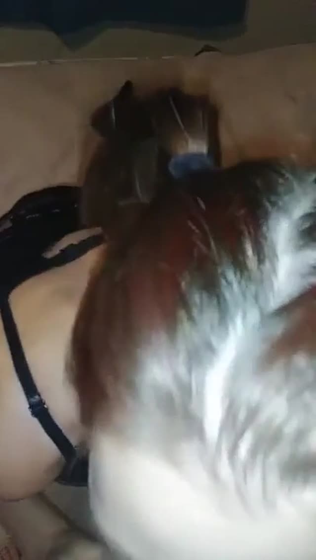 Great pov sucking on her knees