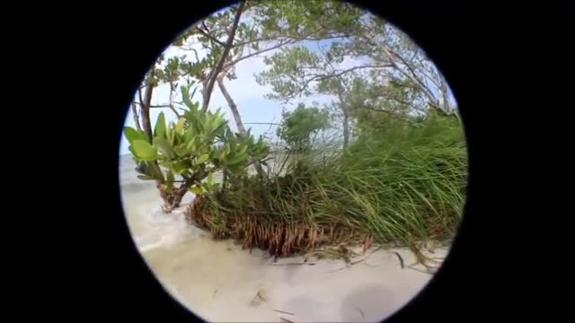 Hot babe with great ass fucked on the beach