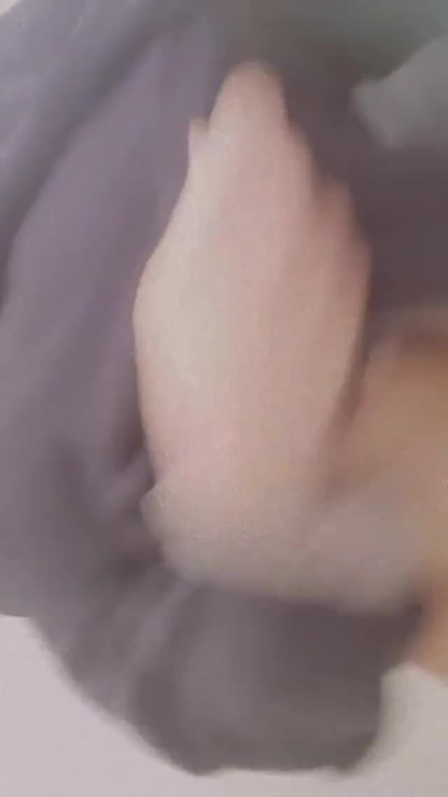 شاشیدن دختر دانشجو وطنی