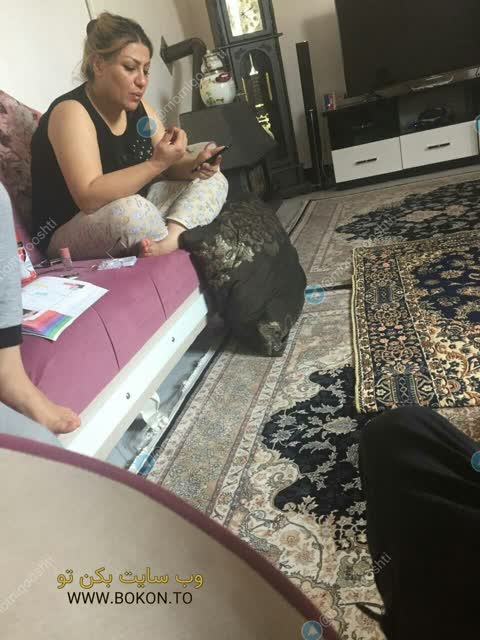 عکس سکسی ایرانی d3f03df0