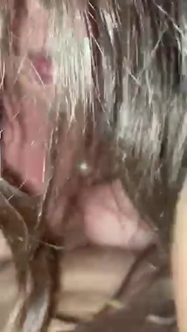 Milf loves to have titty play with big cock