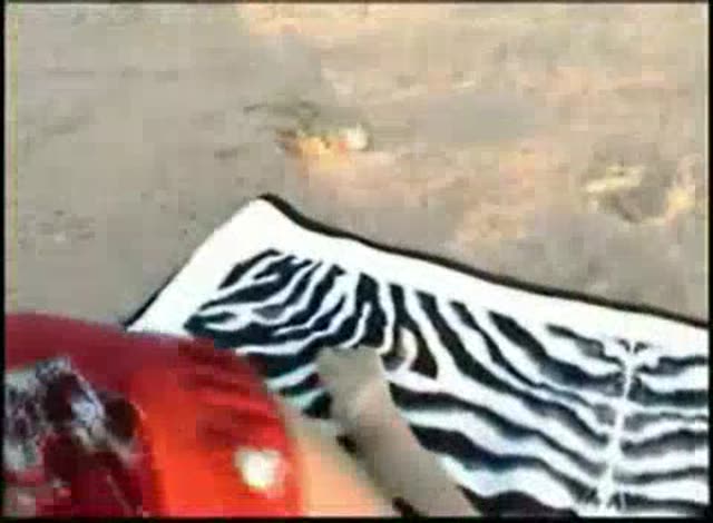 Camping trip anal