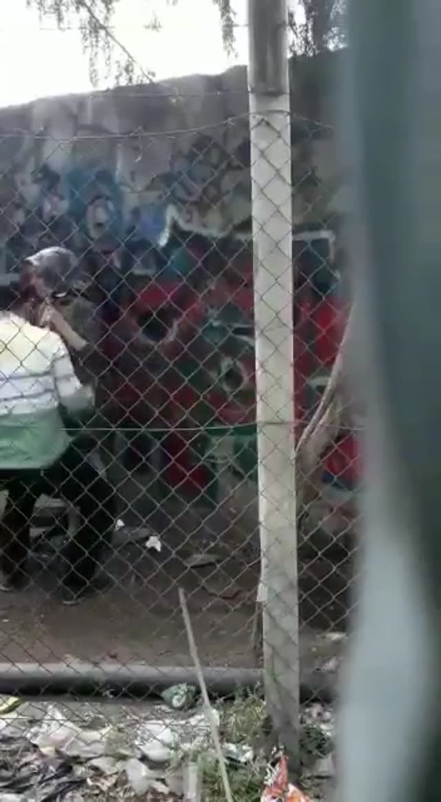 سکس با دختر محجبه تو خرابه