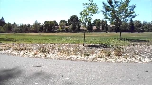 Asian sucks and swallows in public