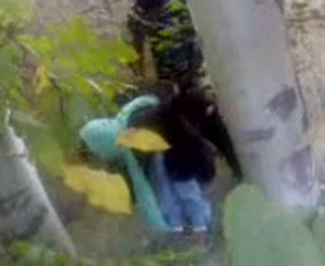 Persian Public Sex in the Park Hidden Camera Fucking her GF