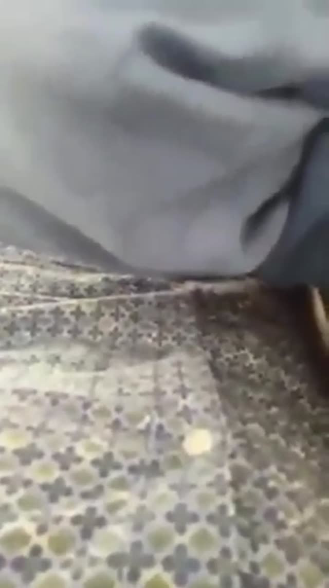 ساک زدن دختر محجبه ترک