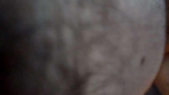 Fucking Wife with Huge BBC Dildo 9