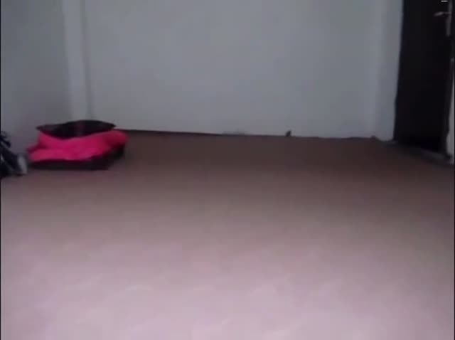 Iranian Rashti Homemade Couple Sex
