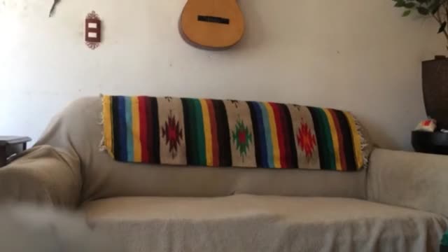 Latina milf fucking with younger guy