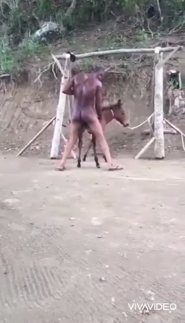 یاد ایام جوانی بخیر 🦙🦙