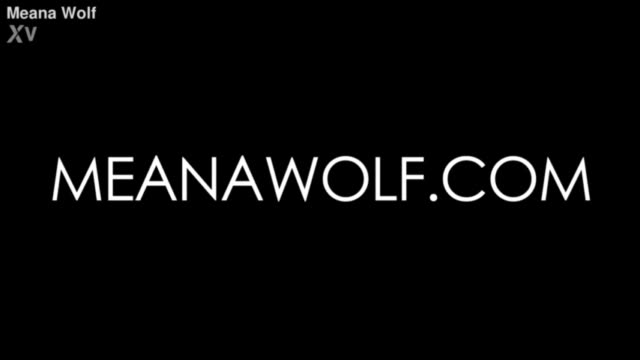 💦Meana wolf💦
