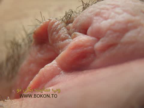عکس سکسی ایرانی 1fccdb51