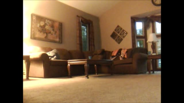 Gramma and grandpa fuck in the living room