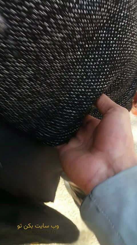 عکس سکسی ایرانی 69a7d8ac