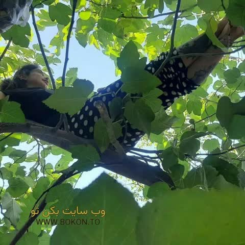 عکس سکسی ایرانی 46d268f1