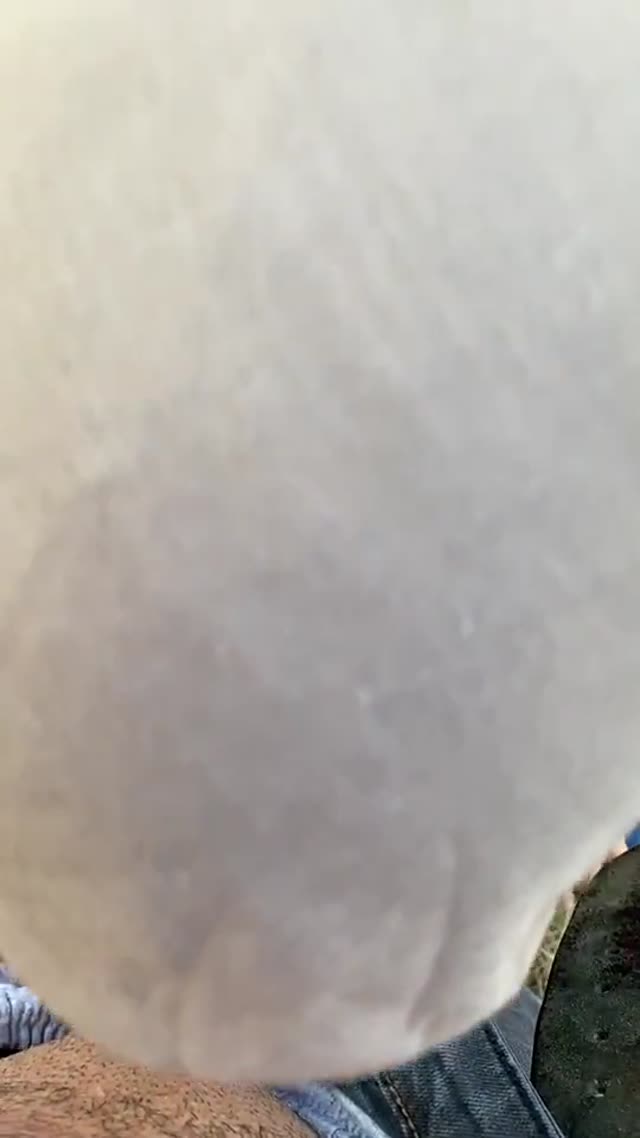 سکس و ساک زدن دختر محجبه تو طبیعت پارت چهارم