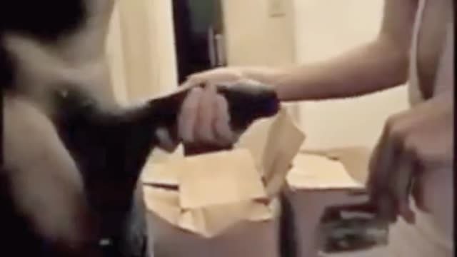 Husband Films His White Wife Sucking Black Cock at Home