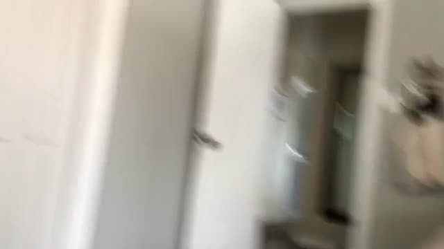 Sexy beauty gives great blowjob and cum swallow