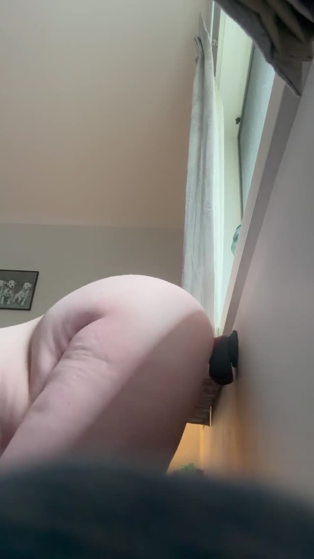 Dildo doggy - Amateur homemade big boobs big tits MILF GILF busty pawg mature private · WsRoDI4N