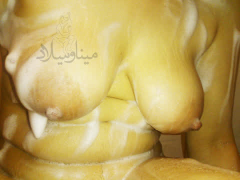 Mina Sexy ♥ عکس های سکسی میلاد و مینا