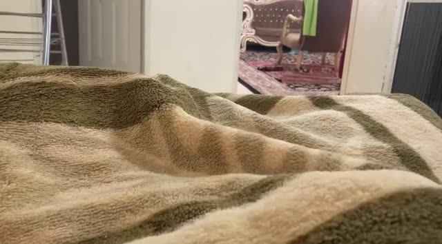 سکس و هندجاب زیر پتو