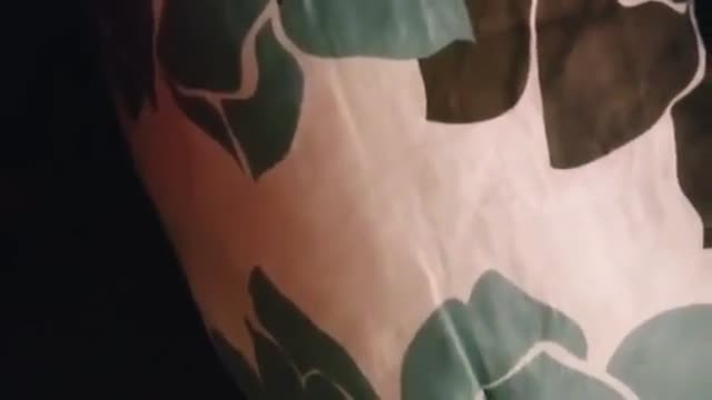 Brunette GF blowjob and fat ass loud doggy fuck