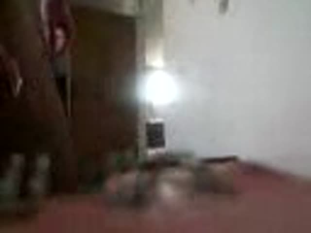 Amateur Iranian Couple Sex – Fucks His Wife then Gets Blowjob