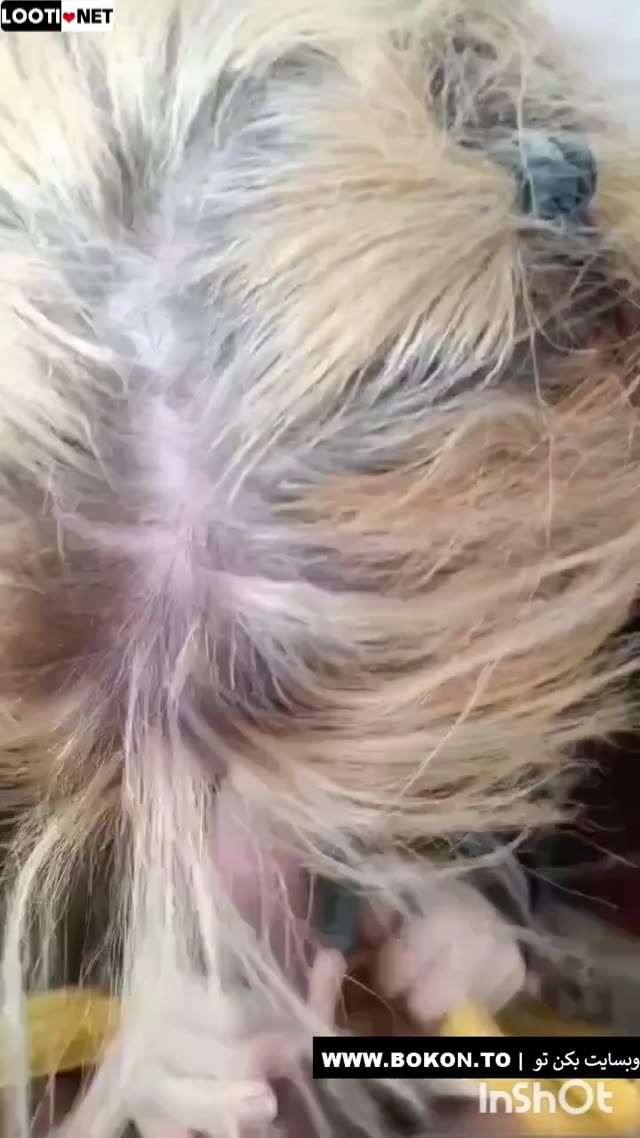 ⭐ سکس تهرانی لو رفته