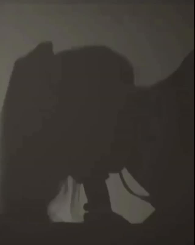 سایه ها💦