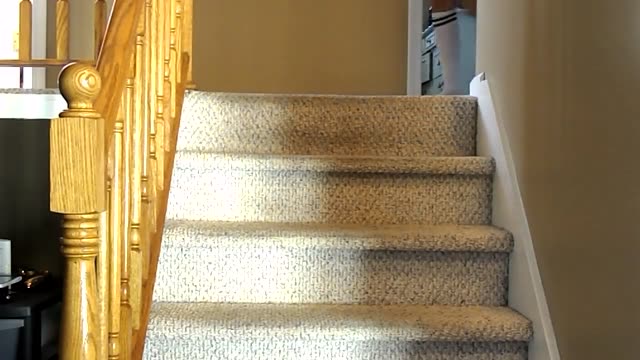 Gorgeous wife fucks on the stairs
