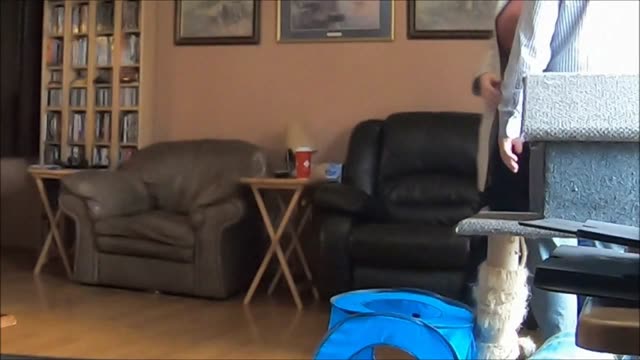 Milf breakfast