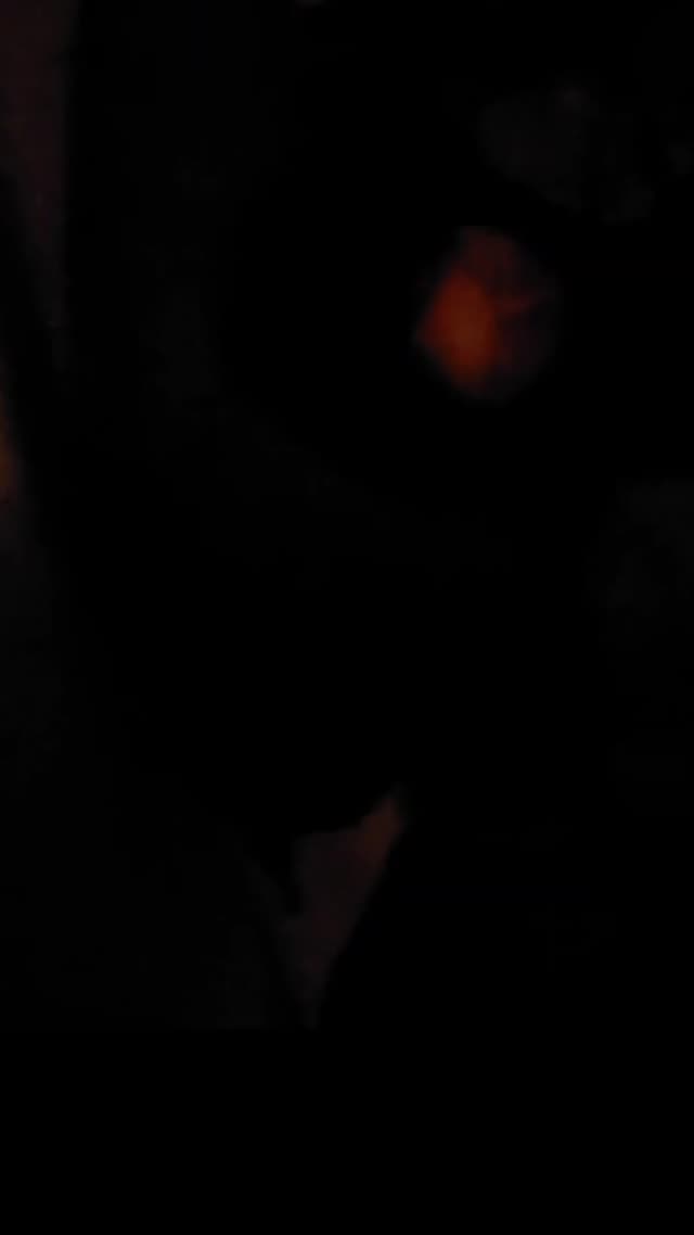 Asian Wife Face Sprayed with Thick Cum - Real Amateur Homemade Mature Korean MILF Facial · K1vnibwe