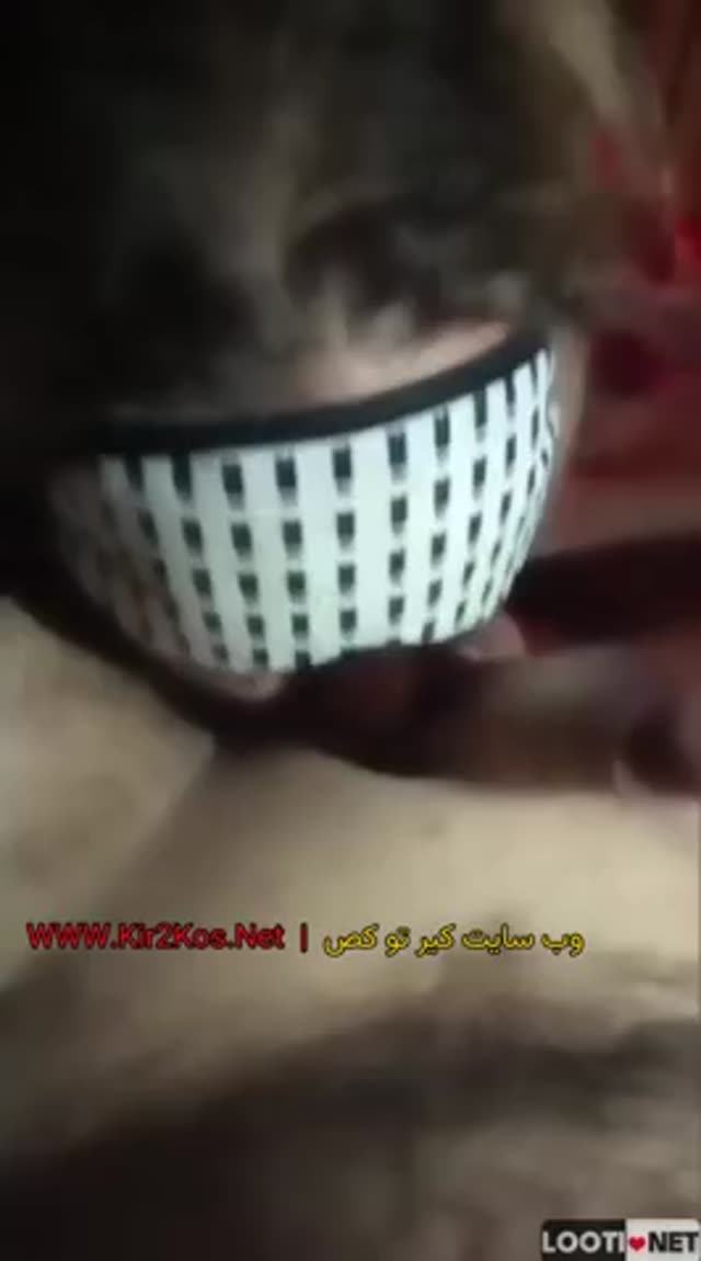 سکس ایرانی – فیلم سکسی ایرانی – سوپر و پورن وطنی شماره (1427).mp4
