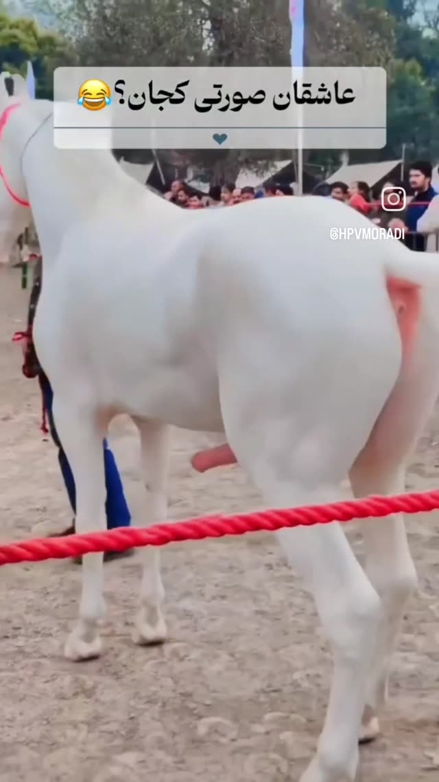 عاشقان صورتی کجان؟؟؟😍😍