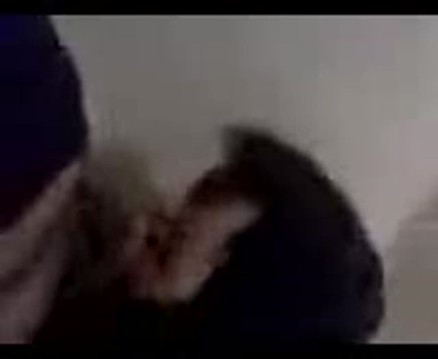 Iranian Girl With Hijab (Veil) Give Up Her Ass
