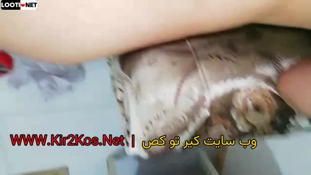 سکس ایرانی – فیلم سکسی ایرانی – سوپر و پورن وطنی شماره (755).mp4