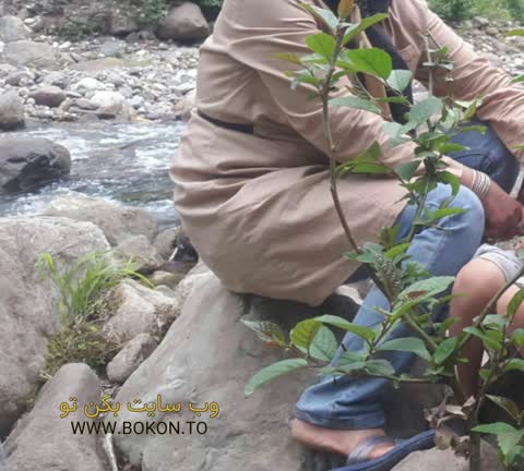 عکس سکسی ایرانی 7f01b871