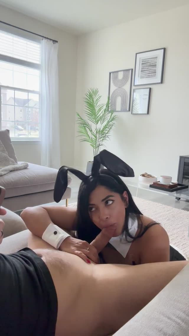خرگوش بازی(فیلم)🐰🥕