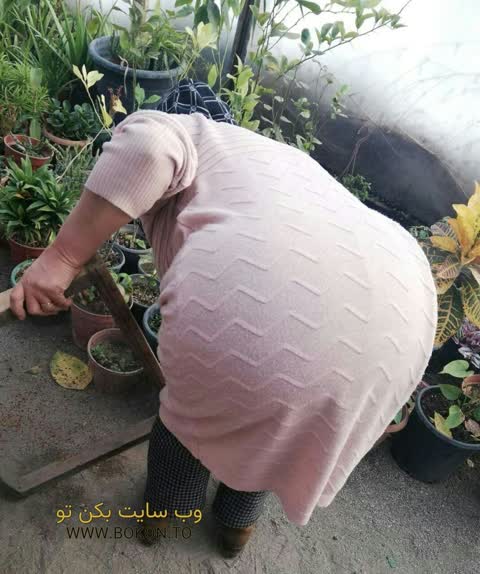 عکس سکسی ایرانی fd1da3b2