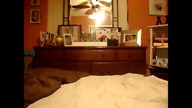 Nerdy girl twerking and pussy play selfie