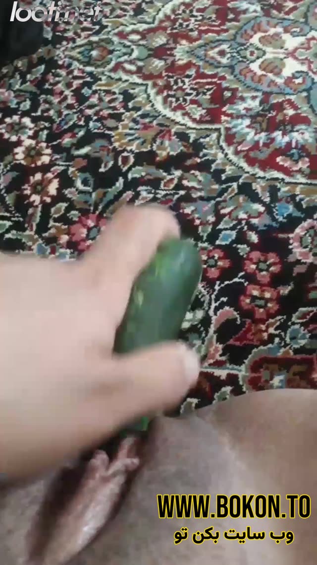 میلف سکسی ایرانی خیار میکنه تو کصش.mp4