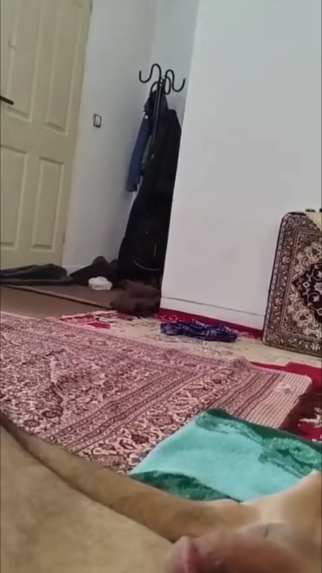 ساک زدن و سکس خانم بیزینسی