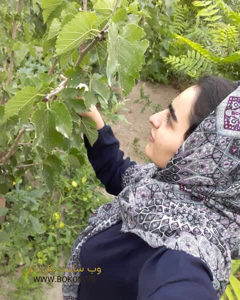 عکس سکسی ایرانی 47a7db4b