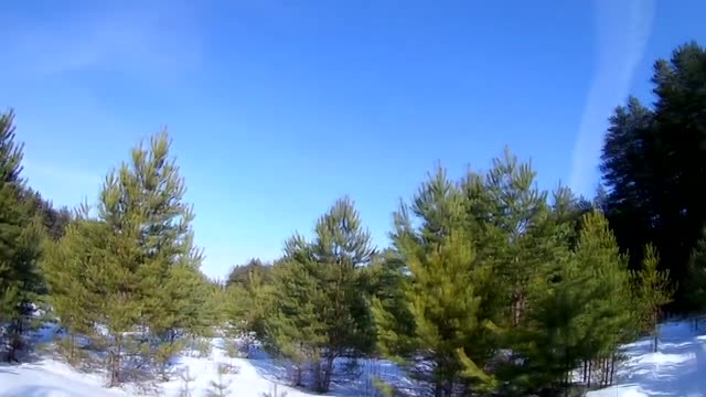 I took her to the woods to fuck her