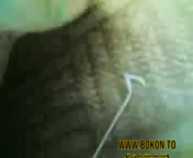 My Hot Girl Covered her Face While Fingering her Ass & Pussy.mp4