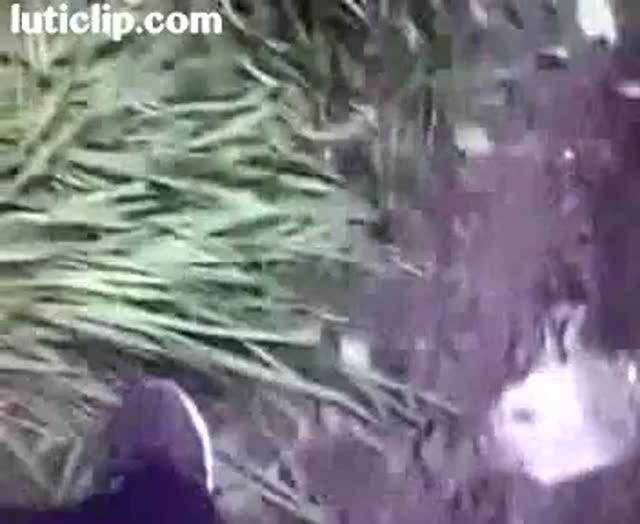 Sex with Girlfriend Caught on Camera in the Garden