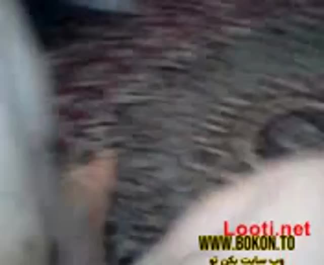 Amazing Blowjob By Iranian Girlfriend.mp4